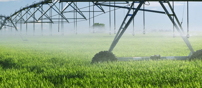 Kuriyama Australia - Agriculture