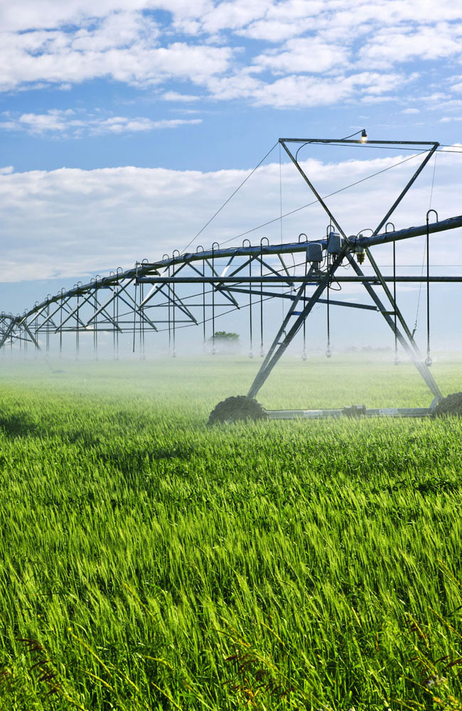 Kuriyama Australia - Agriculture